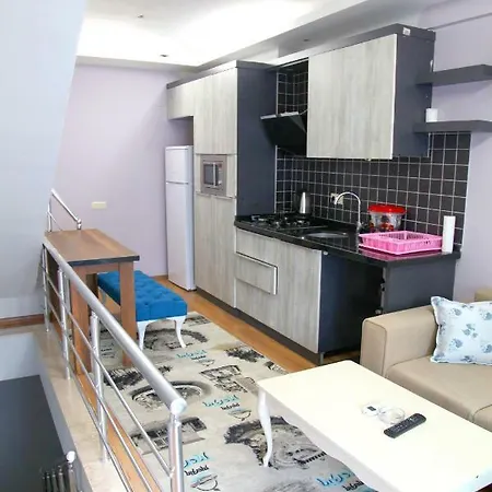 Апартаменты V&m Vip House *
